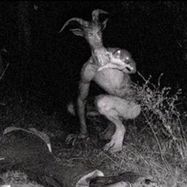 The Goatman of Maryland