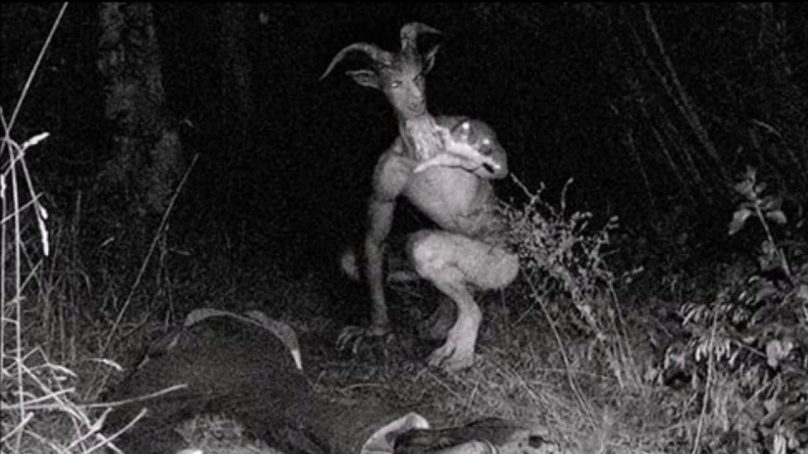 The Goatman of Maryland